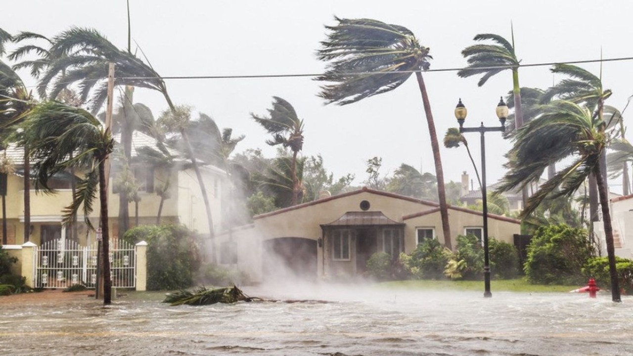 Ilustrasi terjangan angin kencang/ist