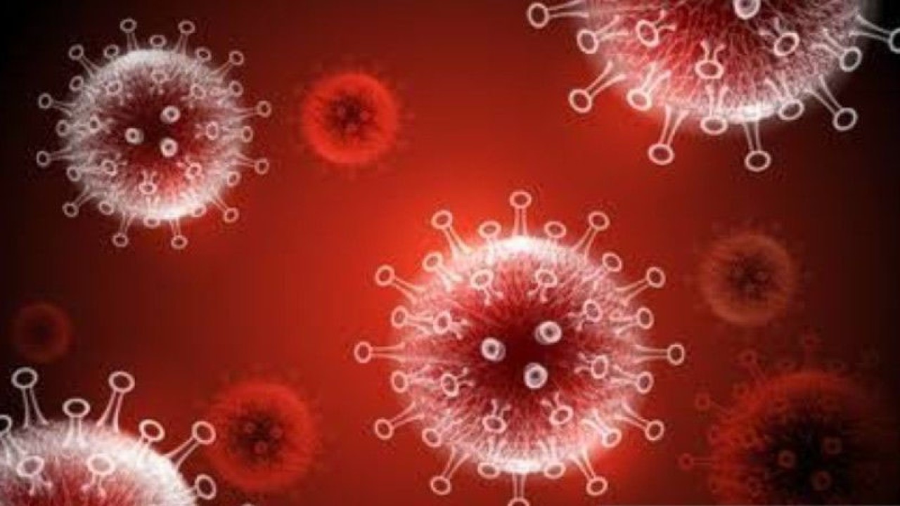 Ilustrasi - Virus Corona. ANTARA/HO-Sutterstock