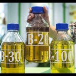 Implementasi biodiesel dorong bisnis sawit berkelanjutan-1673597556