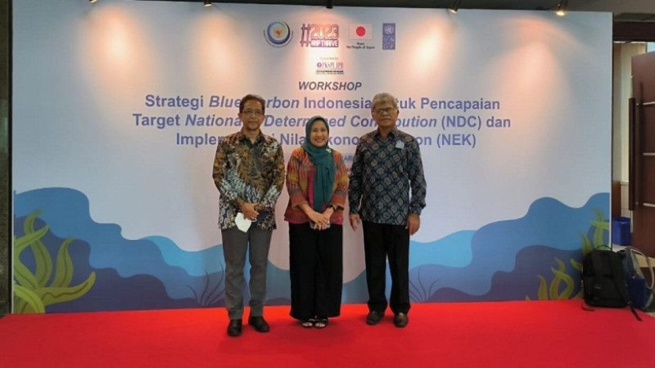 Rektor ITK Buton Prof. La Sara (kanan) pada acara Workshop Blue Carbon Indonesia. (Antara/Ho-Humas ITK Buton)