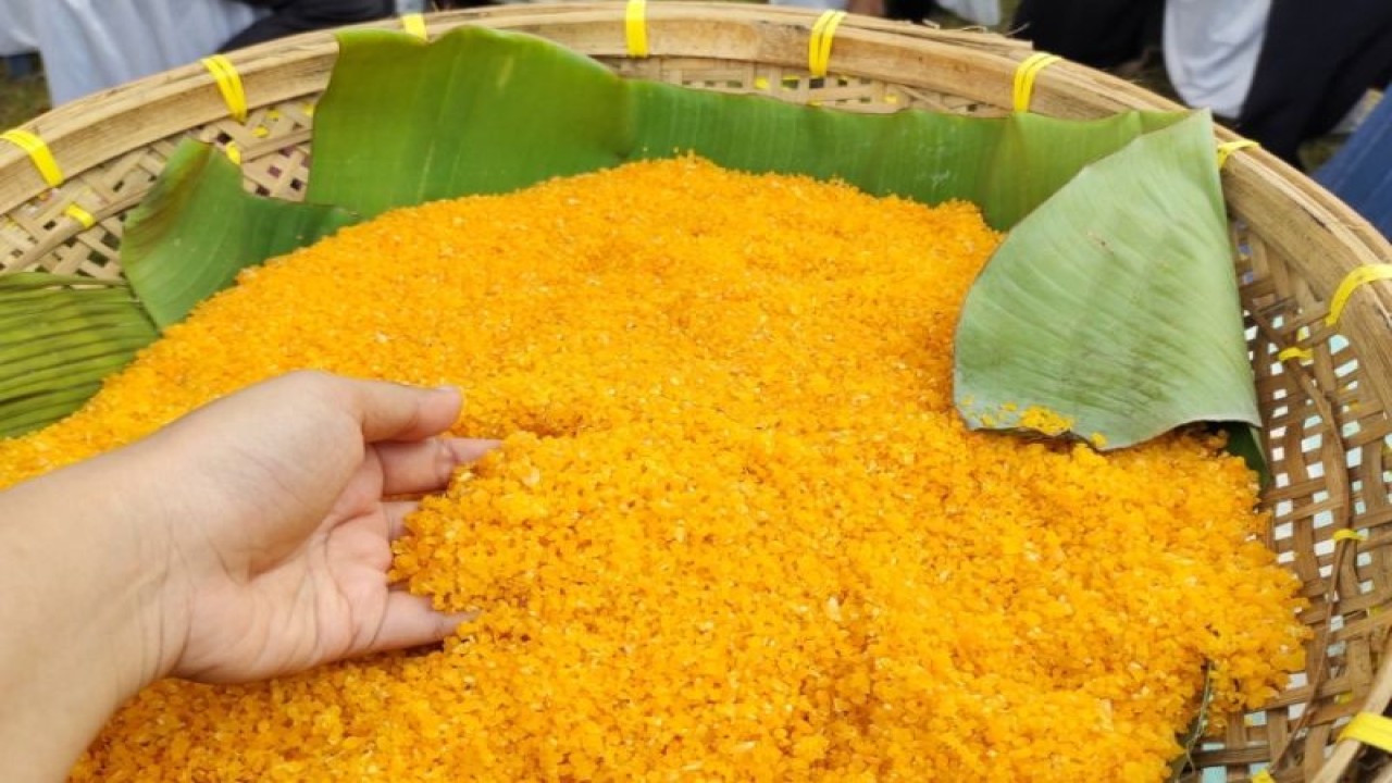 Ilustrasi- Salah satu bahan pangan lokal berupa olahan jagung asal Lampung. ANTARA/Ruth Intan Sozometa Kanafi.