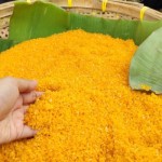 jagung-1674550998