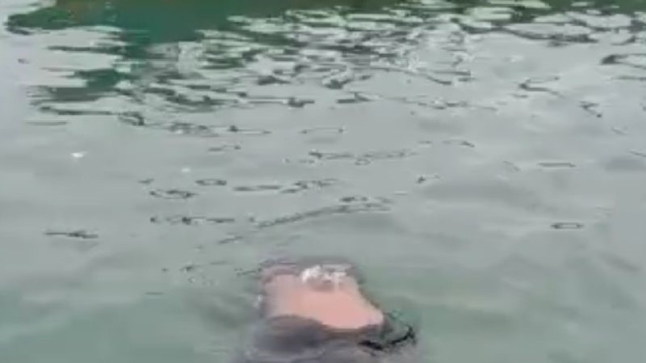 Jasad pria asal Lingga Tou ditemukan mengapung di perairan Tanjungpinang, Kepri, Kamis (19/1). (Ogen)