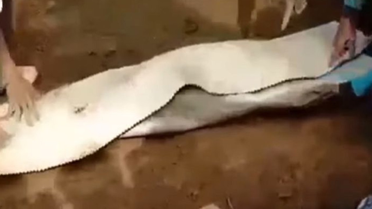 Jenazah guru ngaji di Subang, Jawa Barat masih utuh dan mengeluarkan aroma harum usai 17 tahun dikubur. Foto/YouTube Lintas iNews