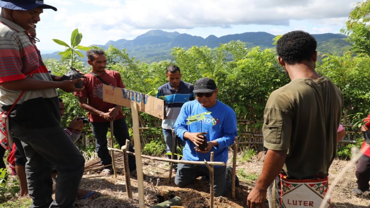 Bupati Nagekeo Johanes Don Bosco Do menanam anakan pala bersama Kelompok Tani Wonga Wali Dusun Tuanio, Desa Pagomogo, Kecamatan Nangaroro, Nagekeo, NTT, Sabtu (28/1/2023). (ANTARA/HO-Prokopim Nagekeo)