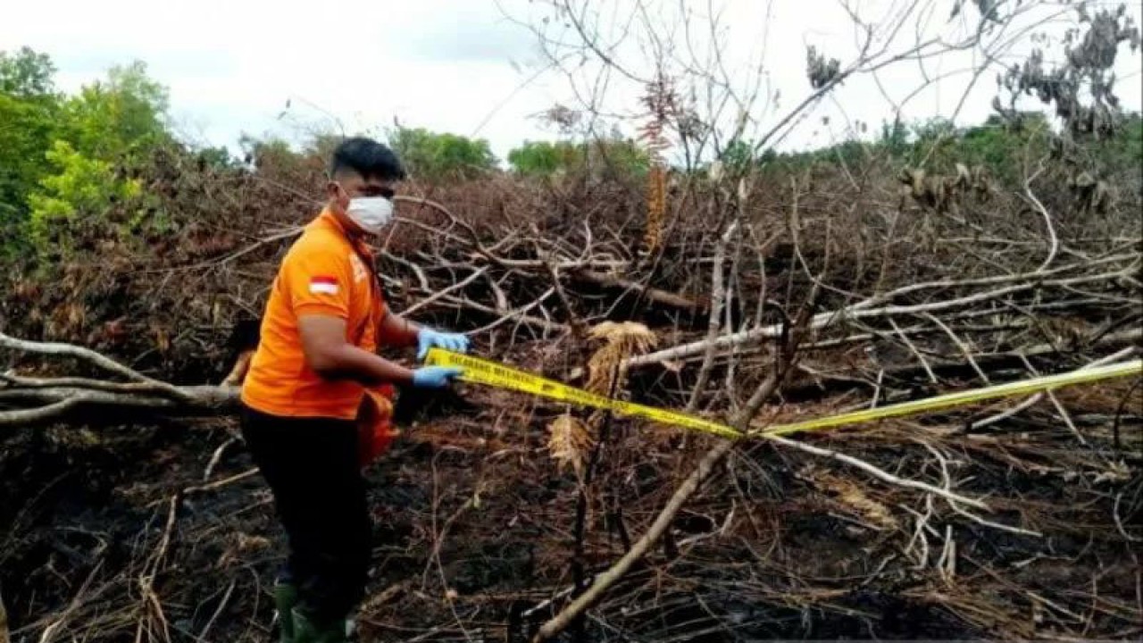 Dokumentasi. Kebakaran lahan di Palangka Raya. ((ANTARA/Rendhik Andika))