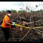 Kebakaran lahan di Palangka Raya-1672899858