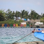 Kelapa dua-1674635145
