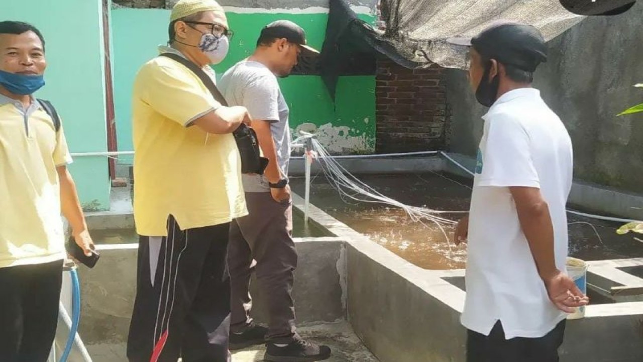 Salah satu warga di Kelurahan Pejeruk Ampenan, Kota Mataram, Provinsi Nusa Tenggara Barat, memanfaatkan pekarangan dengan budidaya ikan air tawar jenis nila. (Foto: ANTARA/HO Lurah Pejeruk)