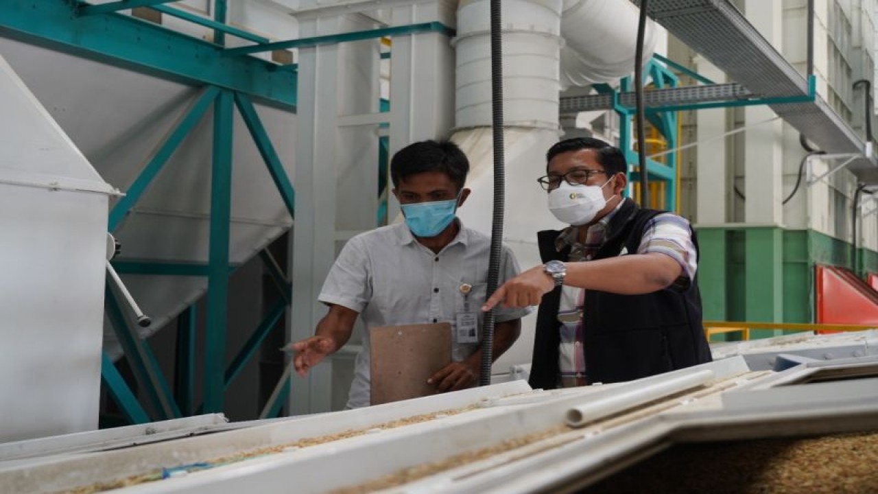 Kepala Badan Pangan Nasional Arief Prasetyo Adi mengecek kualitas gabah dan beras di gudang Bulog. ANTARA/HO-NFA