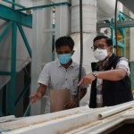 Kepala Badan Pangan Nasional Arief Prasetyo Adi mengecek kualitas gabah dan beras di gudang Bulog. ANTARA/HO-NFA-1673597990