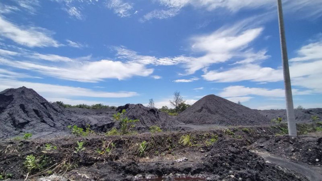 Sejumlah perusahaan di Bengkulu menerima rapor merah dari KLHK. ANTARA/Anggi Mayasari