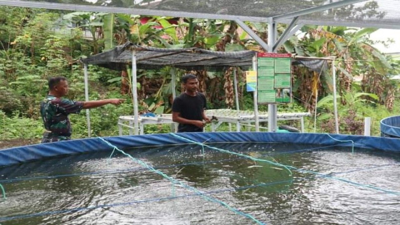 Kodim 1418 kabupaten Mamuju Provinsi Sulawesi Barat (Sulbar) mengembangkan ikan nila dengan memanfaatkan lahan tidur memperkuat ketahanan pangan di Mamuju, Kamis, (12/1/2023) ANTARA Foto/ M Faisal Hanapi
