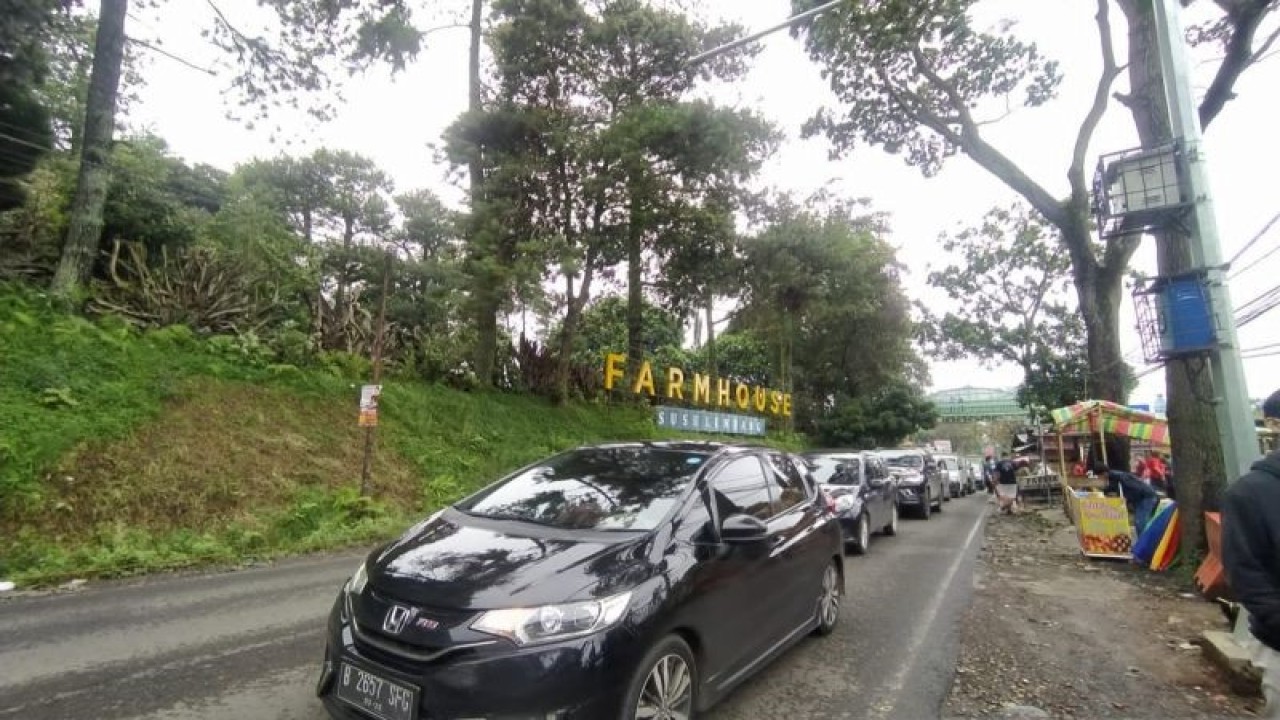 Kondisi lalu lintas di kawasan Lembang, Kabupaten Bandung Barat, Jawa Barat. (ANTARA/Bagus Ahmad Rizaldi)