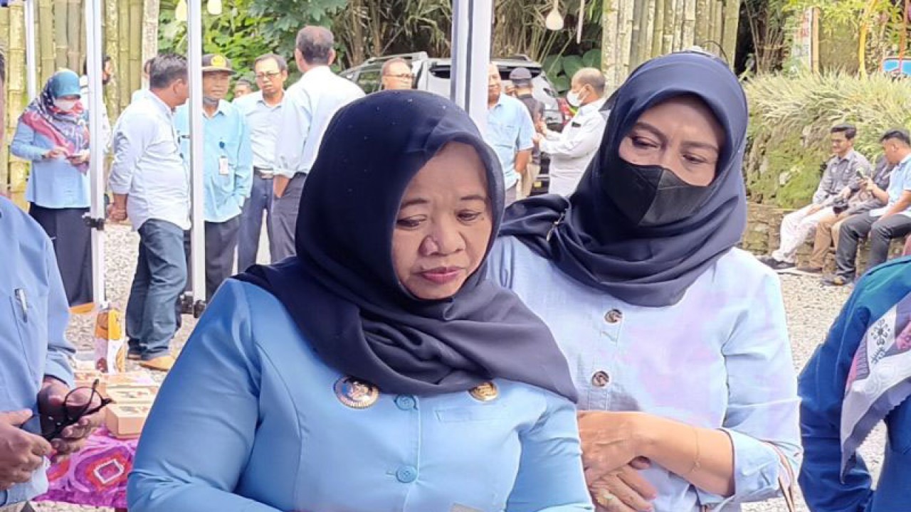 Bupati Sleman Kustini Sri Purnomo. ABTARA/Victorianus Sat Pranyoto