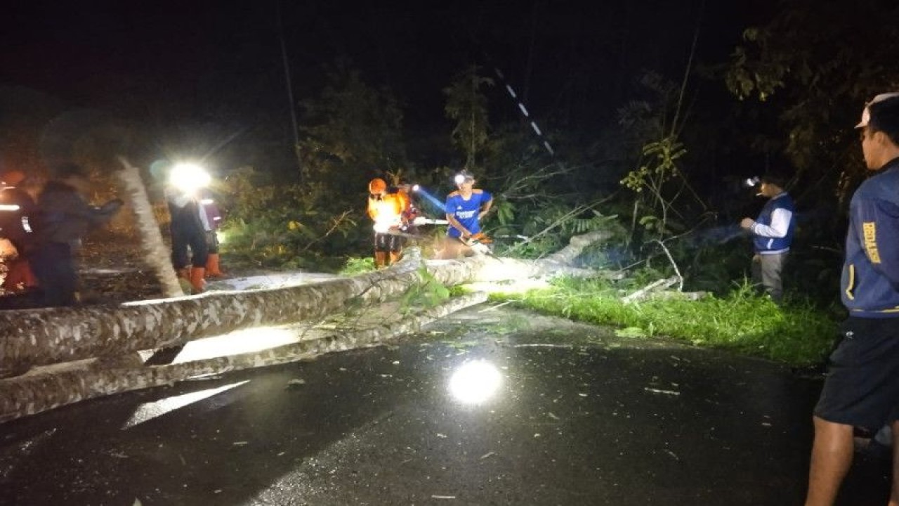 Petugas PLN, BPBD dan warga saat melakukan gotong royong membersihkan ranting pohon tumbang yang menimpa jaringan listrik di Desa Air Lengit, Bunguran Tengah, Natuna, Kepri, Senin (30/1) dini hari. (ANTARA/HO-BPBD Natuna/Cherman)