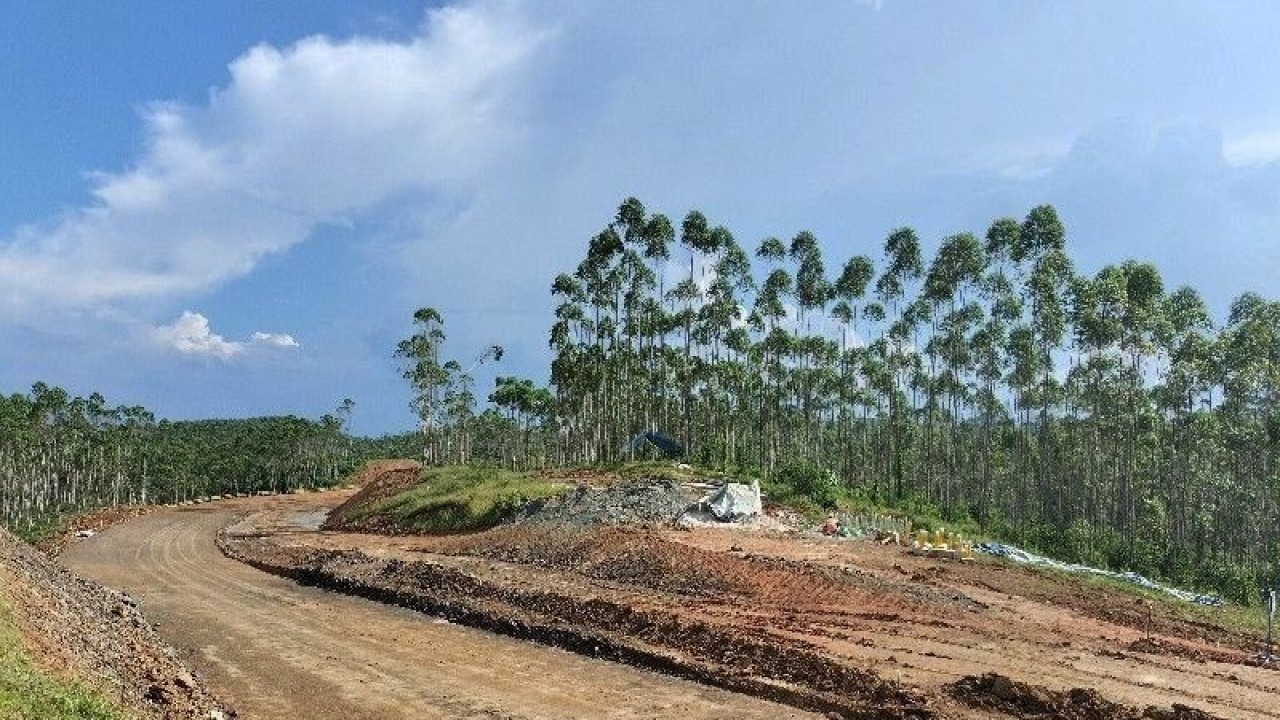 Lokasi Pembangunan jalan Ibu Kota Negara (IKN) Nusantara di Penajam Paser Utara, Kalimantan Timur. ANTARA/Aji Cakti/aa.