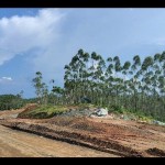 Lokasi Pembangunan jalan Ibu Kota Negara (IKN) Nusantara di Penajam Paser Utara, Kalimantan Timur. ANTARA/Aji Cakti/aa.-1674548367
