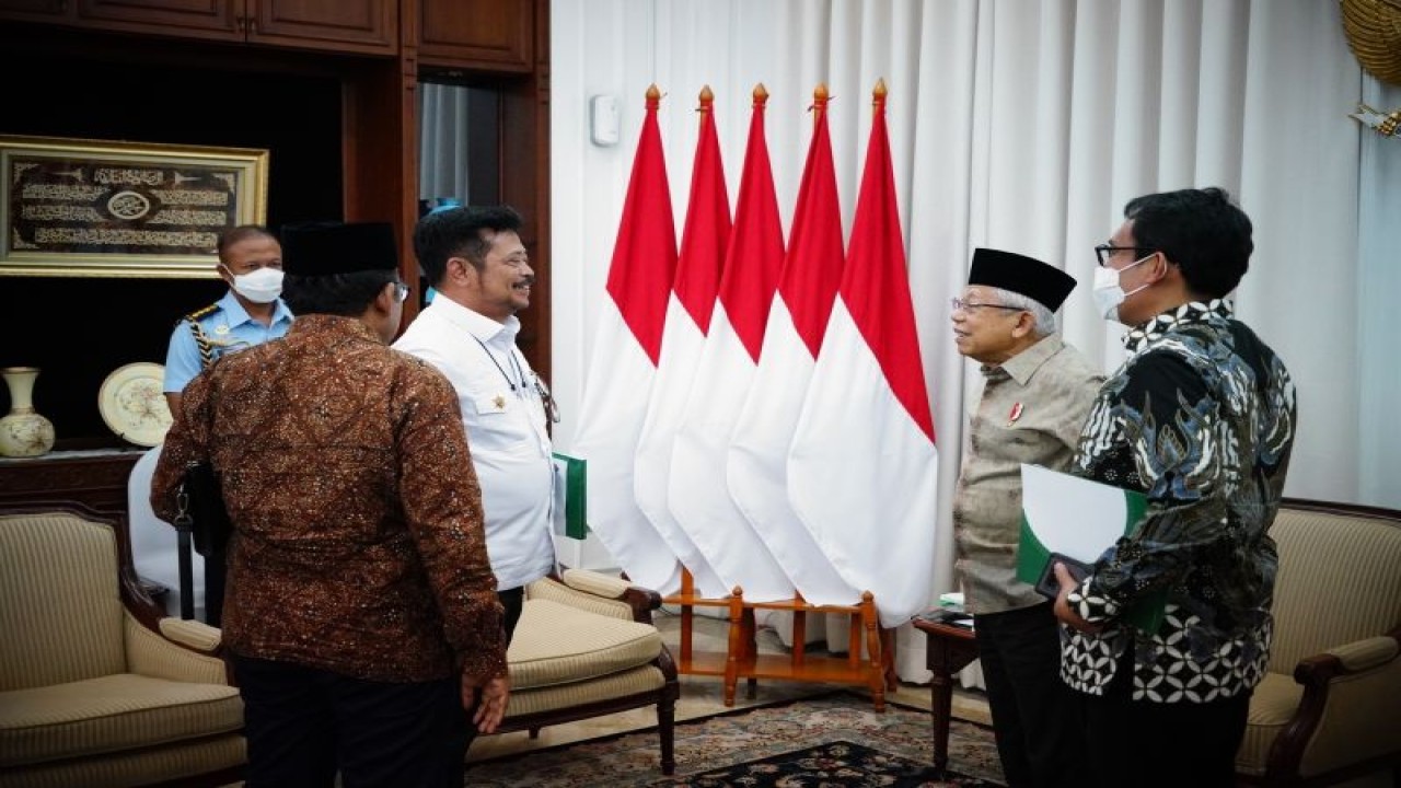 Wakil Presiden RI Ma’ruf Amin bersama Menteri Pertanian Syahrul Yasin Limpo di Jakarta, Selasa (24/1/2023). ANTARA/HO-BPMI Setwapres