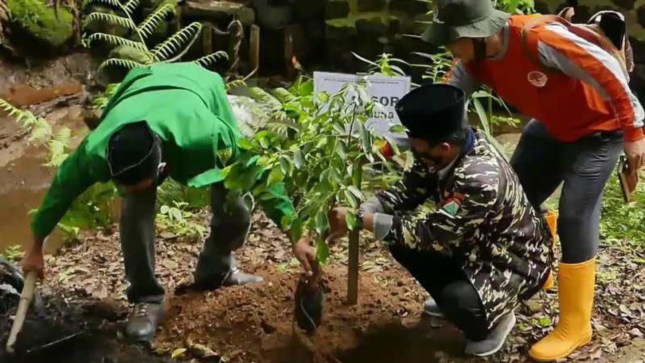 Masyarakat Kabupaten Temanggung menanam salah satu jenis tanaman dalam gerakan konservasi di daerah tersebut. ANTARA/Heru Suyitno
