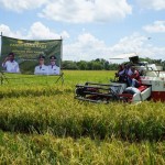 Menteri Pertanian Syahrul Yasin Limpo panen padi di Grobogan Jawa Tengah, Kamis (12/1/2023). ANTARA/HO-Kementerian Pertanian.-1673516004