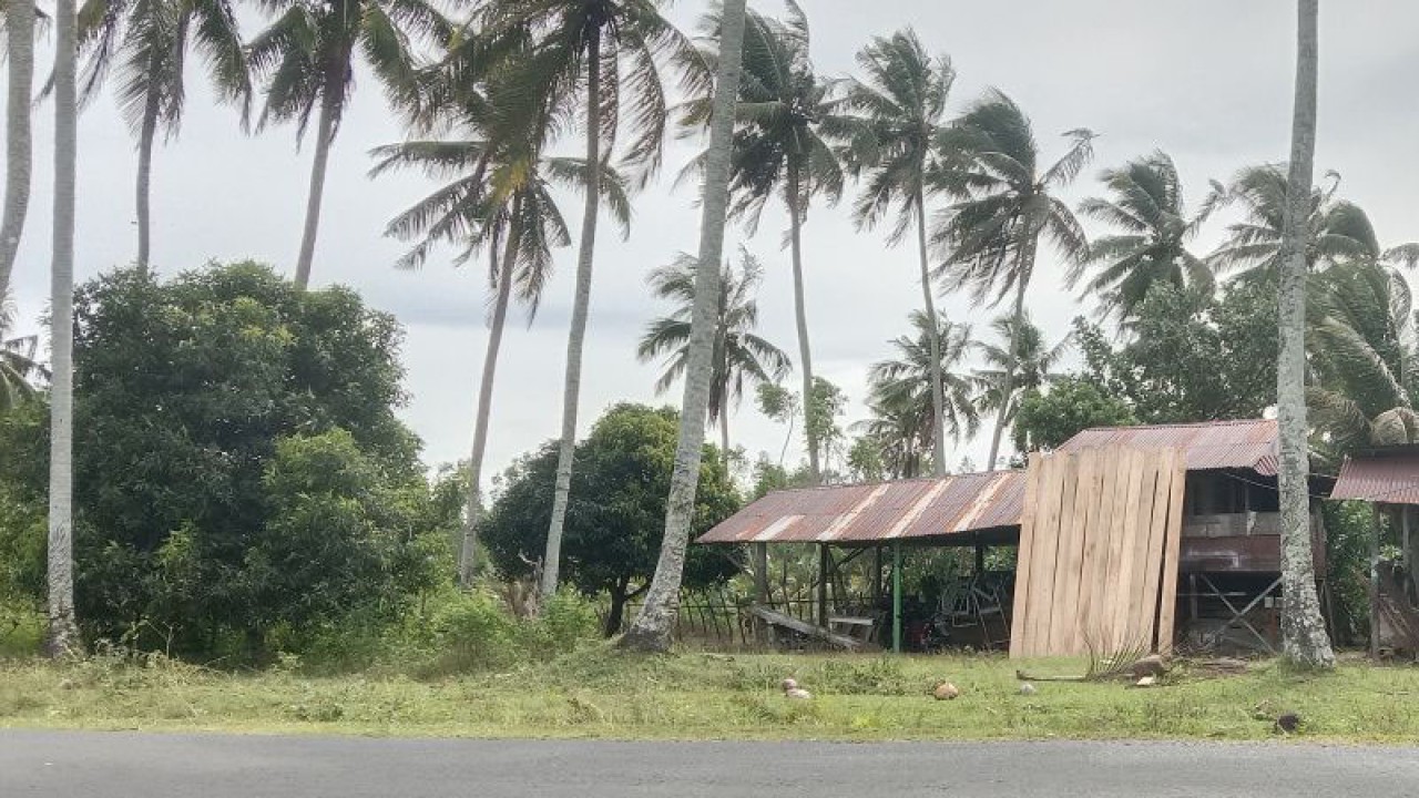 Angin kencang menerpa Desa Ujung Padang, Kabupaten Mukomuko, Sabtu (28/1/2023) ANTARA/Ferri.