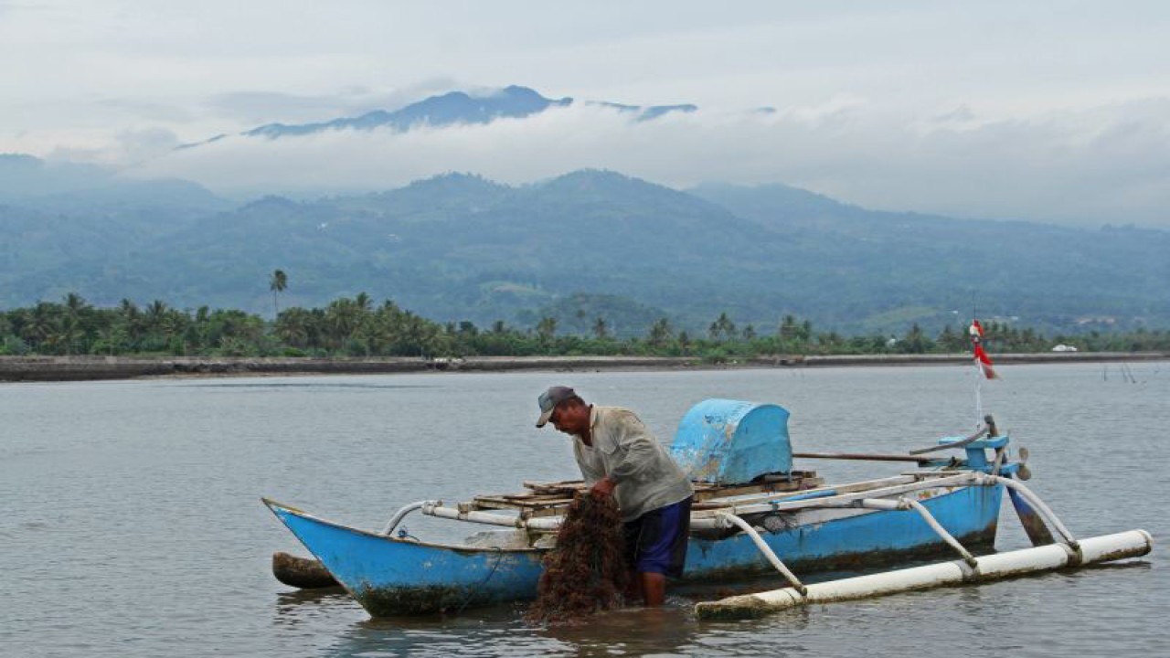 Nelayan mengangkut benih rumput laut ke atas perahu di perairan Desa Bonto Jai, Kabupaten Bantaeng, Sulawesi Selatan, Minggu (27/11/2022). Kementerian Kelautan dan Perikanan (KKP) akan memfokuskan kegiatan budi daya pada produk perikanan unggulan seperti rumput laut yang mampu menyerap karbon serta mengoptimalkan pemanfaatan komoditas tersebut untuk dikembangkan menjadi kawasan industri rumput laut berkelanjutan guna mendukung program prioritas KKP yang berbasis pada ekonomi biru. ANTARA FOTO/Arnas Padda/aww. (ANTARA/ARNAS PADDA)