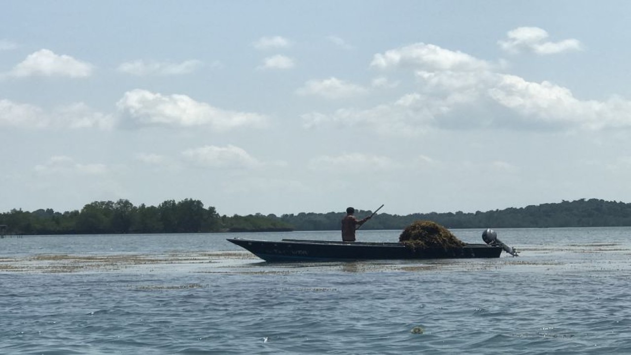 Nelayan beraktivitas di wilayah perairan Kota Batam, Provinsi Kepulauan Riau. (ANTARA/Yude)