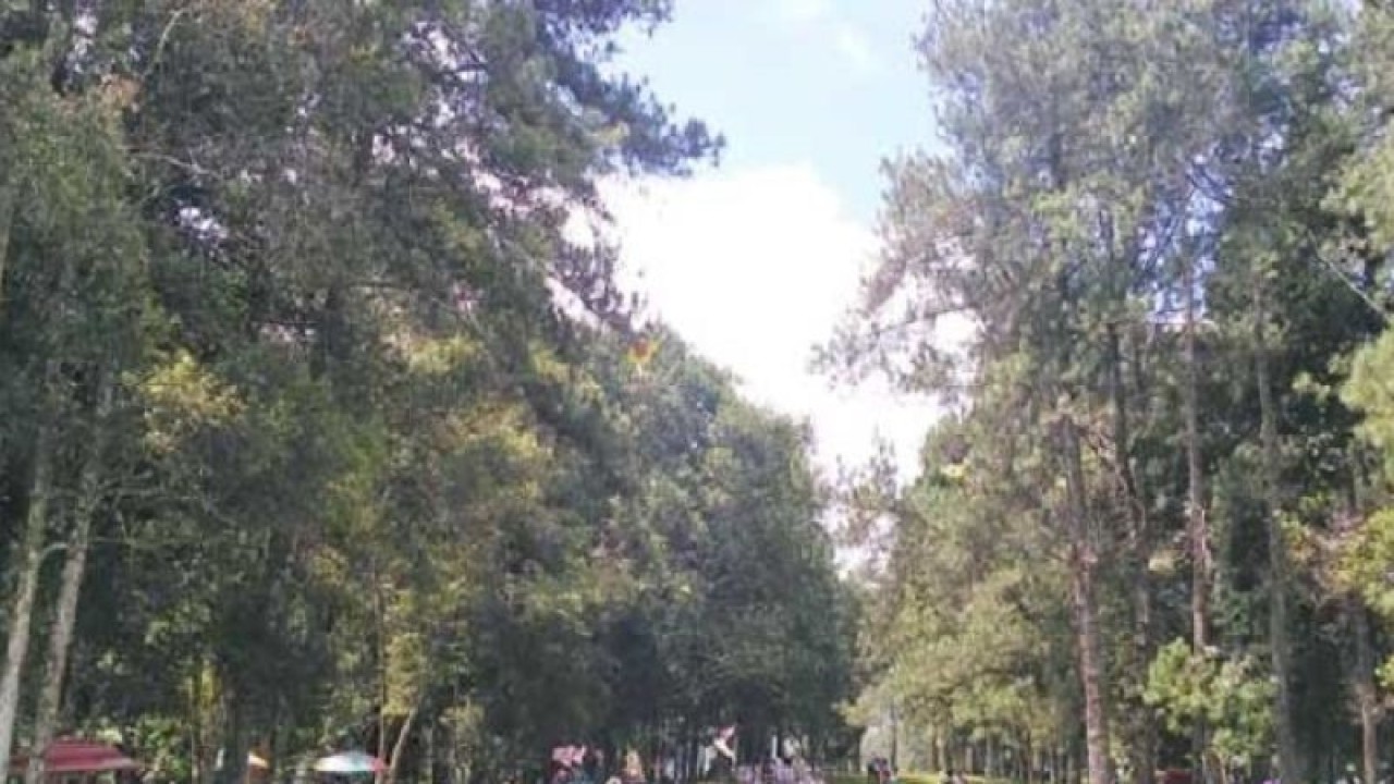 Objek wisata alam Selabintana yang berada di Kecamatan/Kebupaten Sukabumi, Jabar. Antara/Aditya Rohman