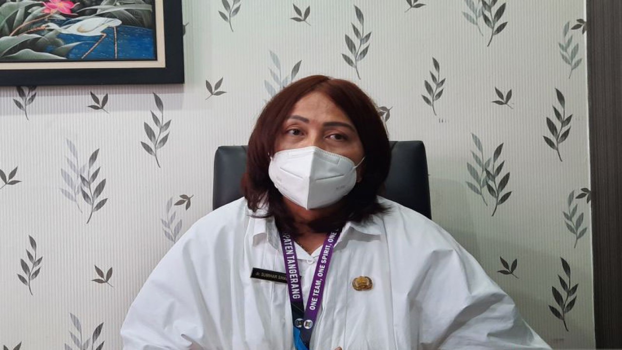 Kepala Bidang Pencegahan dan Pengendalian Penyakit (P2P) Kabupaten Tangerang, dr Sumihar Sihaloho (Azmi Samsul Maarif)