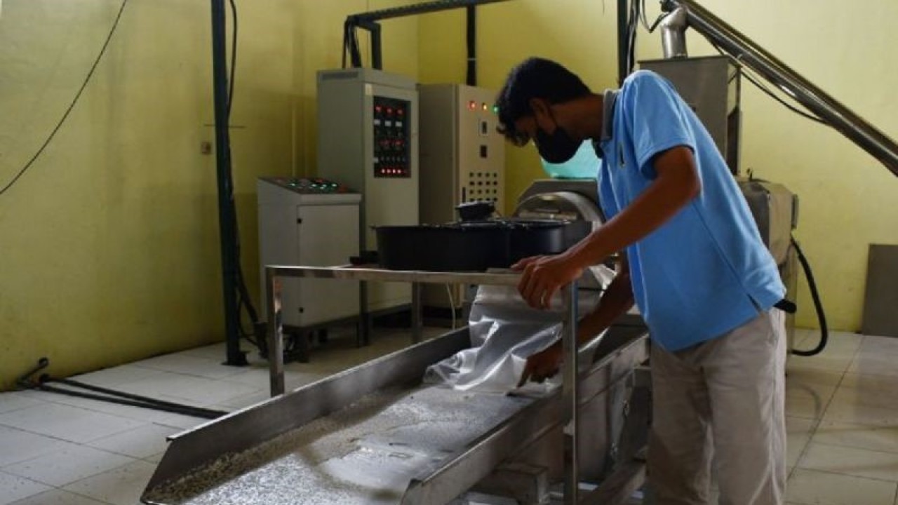 Ilustrasi - Pekerja mengoperasikan mesin saat uji coba produksi beras porang di pabrik PT Porang Rejeki Jaya Kota Madiun, Jawa Timur, Jumat (30/12/2022). Pabrik yang akan mempekerjakan 100 tenaga kerja tersebut menargetkan produksi 100 ton umbi porang menjadi delapan ton tepung porang dan 2,5 ton beras porang per hari untuk memenuhi permintaan pasar lokal, nasional dan ekspor. Antara/Siswowidodo/Ds