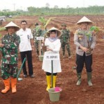 Pemkab Batang gencarkan ketahanan pangan melalui tanam pisang-1674035810