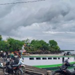 Pemkab Flores Timur perkuat pengawasan pintu masuk cegah ASF-1674457553
