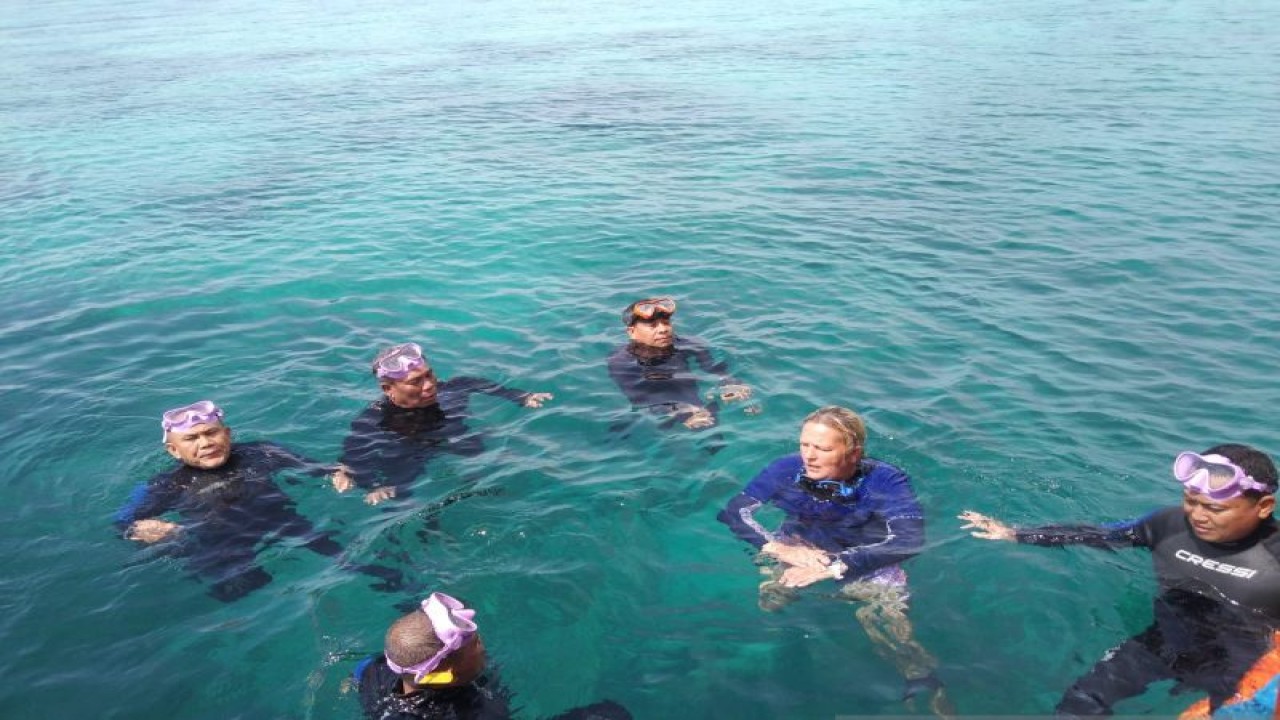 Bupati Gorontalo Utara, Thariq Modanggu, bersama para pimpinan organisasi perangkat daerah terkait dan pihak investor pariwisata, melakukan penyelaman dan menggelar rapat terkait upaya penyelamatan terumbu karang, pada Selasa (3/1) di perairan Pulau Saronde, Kecamatan Ponelo Kepulauan. (ANTARA/Susanti Sako)