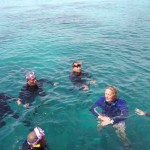 Pemkab Goronto Utara lakukan penanggulangan kerusakan terumbu karang-1672731366