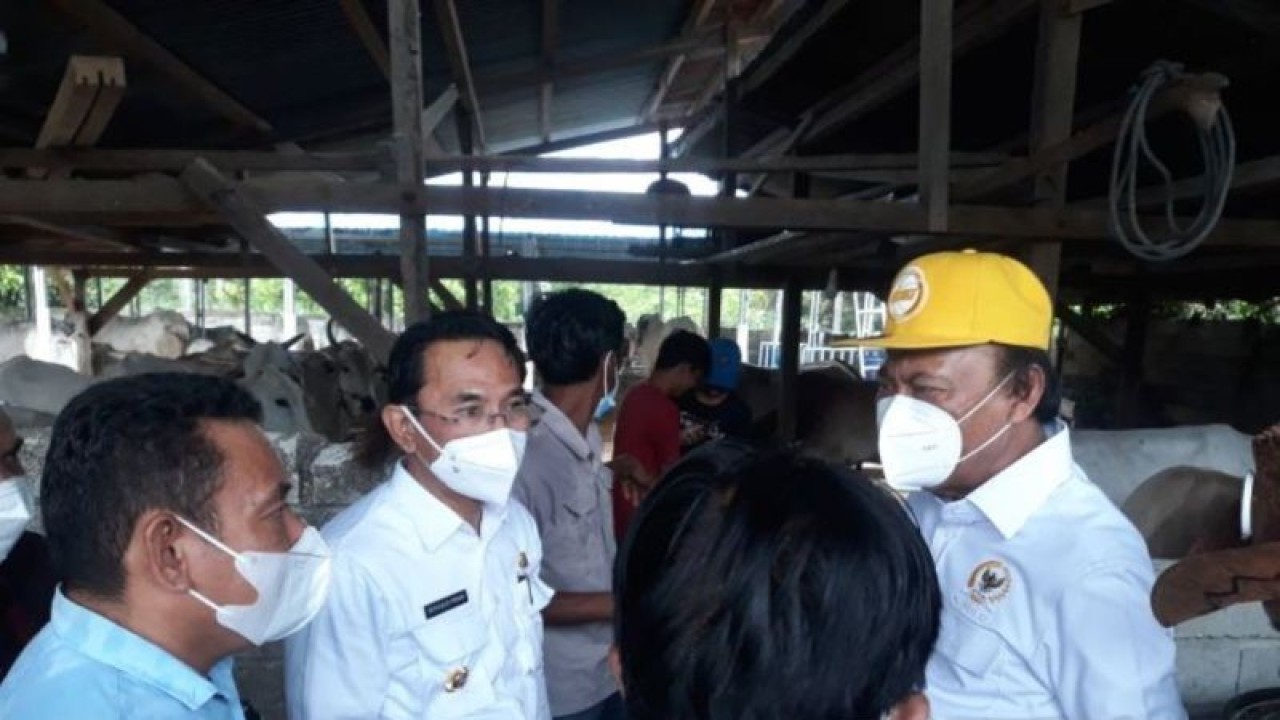 Bupati Sigi Mohamad Irwan (kiri) bersama Anggota Komisi XI DPR Muhidin M Said (kanan) meninjau kandang peternakan sapi yang dikelola oleh sekolah peternakan rakyat, di Desa Bulubete, Kecamatan Dolo Selatan. (ANTARA/Muhammad Hajiji)