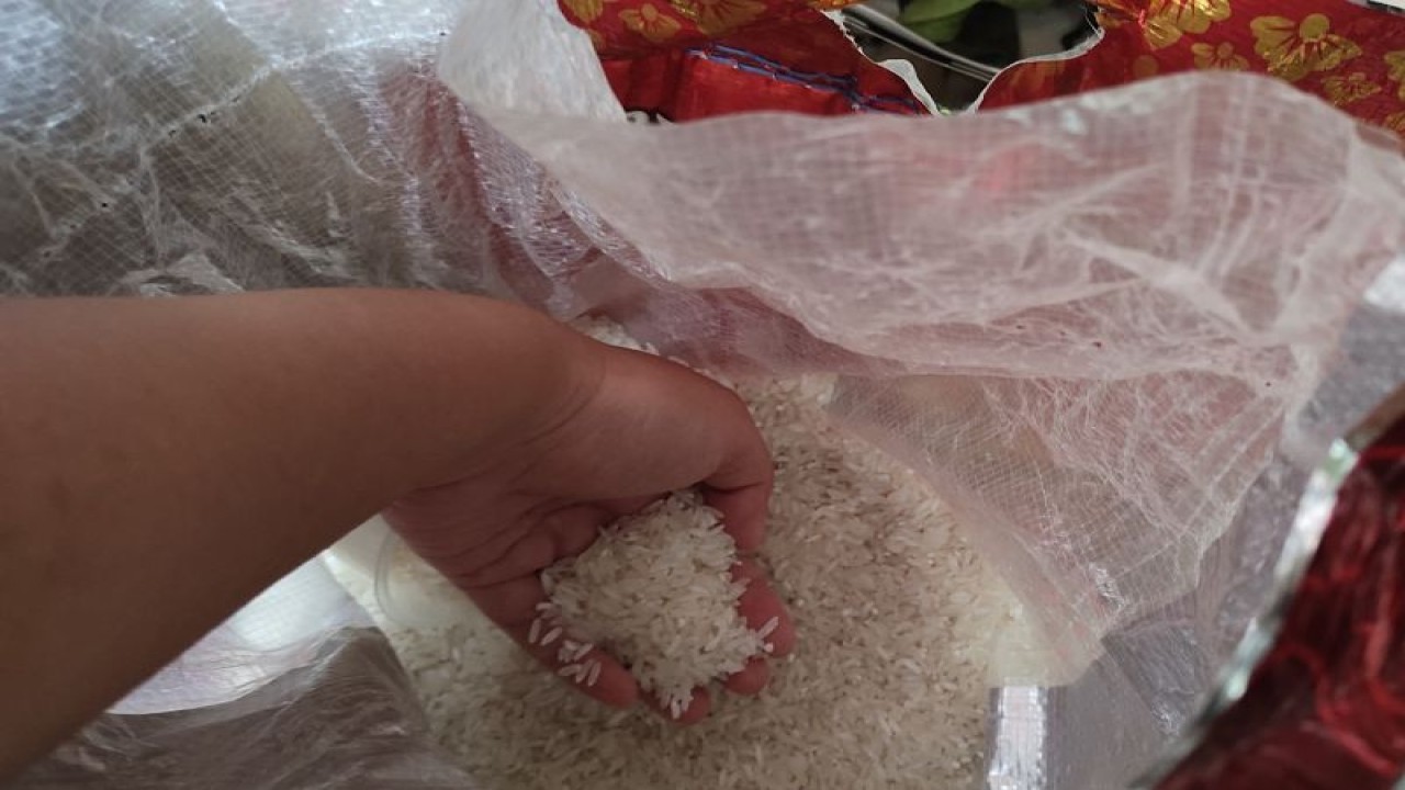 Ilustrasi- Beras kualitas premium milik salah satu pedagang beras di pasar tradisional di Bandarlampung. ANTARA/Ruth Intan Sozometa Kanaf