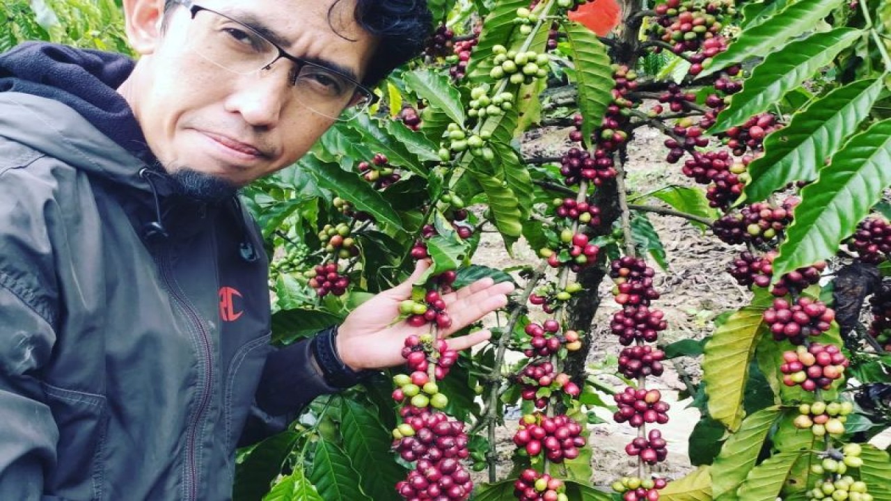 Pendiri JBI menunjukan kopi arabika hasil panen petani di OKU Selatan, Senin. (ANTARA/Edo Purmana/23)
