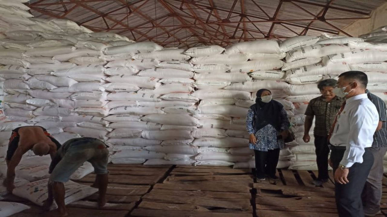 Pengawasan pupuk bersubsidi di kios pupuk. (ANTARA/dokumen istimewa)