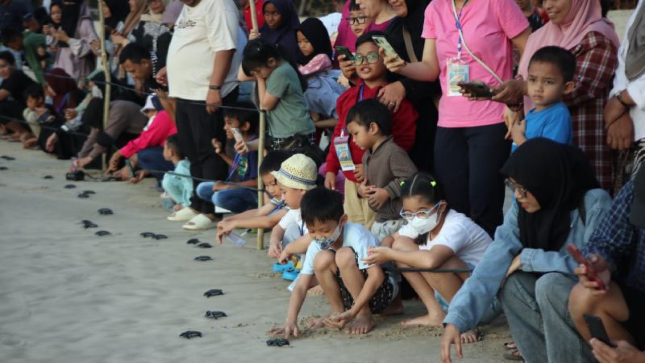Konservasi Penyu Lampuuk bersama peserta release penyu yang didominasi anak-anak melepaskan 34 tukik (anak penyu) jenis belimbing ke lautan setelah menetas lima hari yang lalu, di Aceh Besar, Minggu (12/1/2023) (ANTARA/Nurul Hasanah)