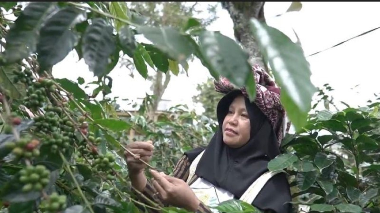 Petani Kopi Gayo. (ANTARA/HO-LPEI)