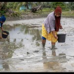 Petani menanam padi di Desa Porame, Sigi, Sulawesi Tengah, Sabtu (4/12/2021). ANTARA/Basri Marzuki-1673853893