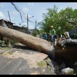 Petugas mengamati pohon tumbang menimpa bangunan akibat cuaca ekstrem di kawasan Kedonganan, Badung, Bali, Selasa (3/1/2023). ANTARA FOTO/Fikri Yusuf/foc-1672889313