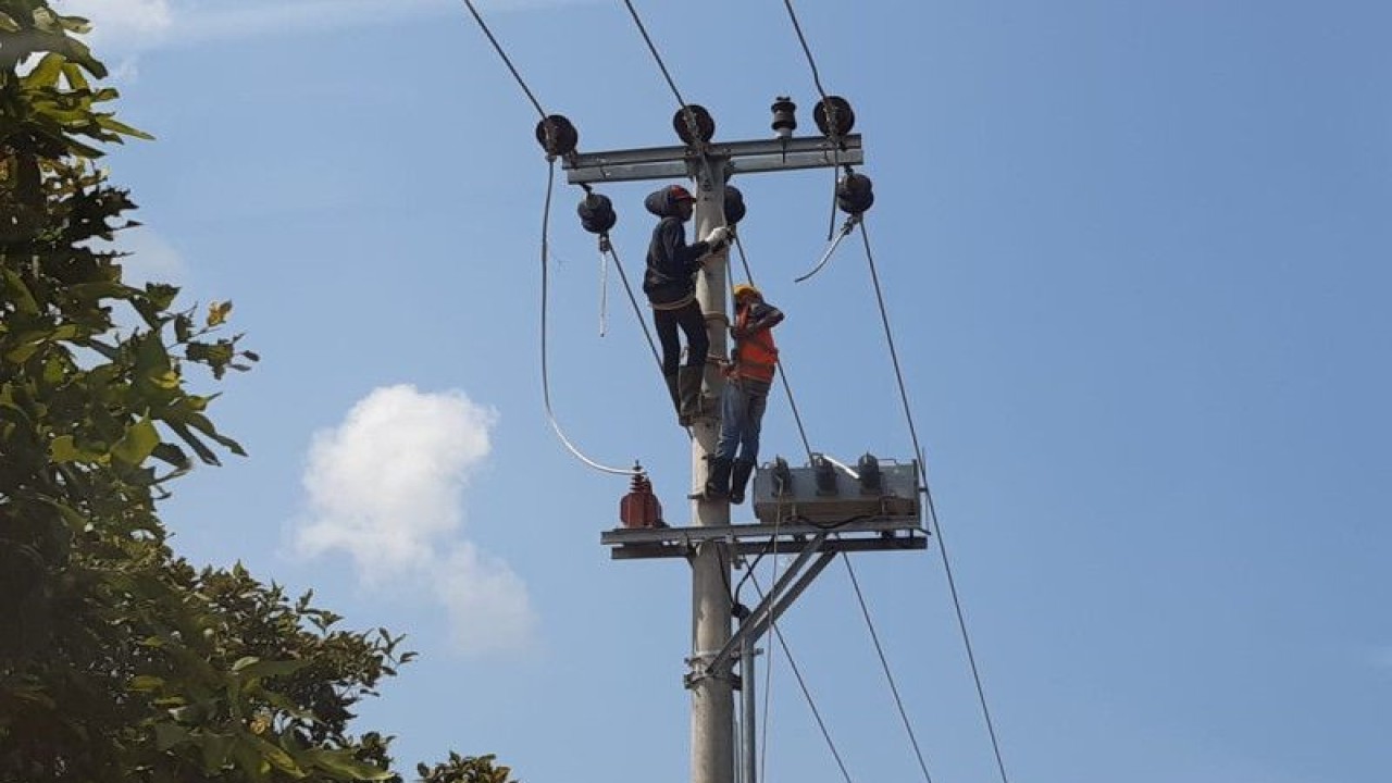Petugas PLN memperbaiki jaringan listrik di sekitar Batu 7, Kota Tanjungpinang, Kepulauan Riau. ANTARA/Nikolas Panama