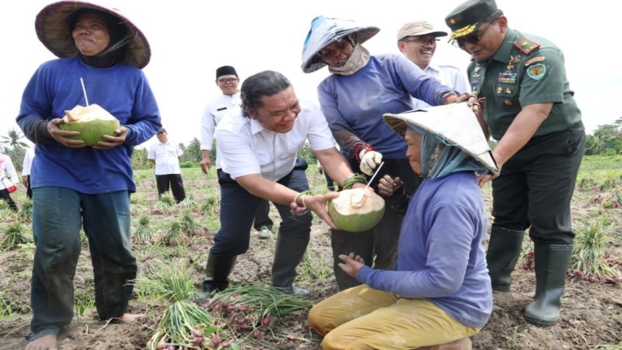 Penjabat (Pj) Gubernur Banten Al Muktabar memberikan kelapa muda kepada para petani yang tengah panen bawang merah di Kramatwatu Kabupaten Serang, Rabu.. (Mulyana)