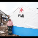PMI-1672739281