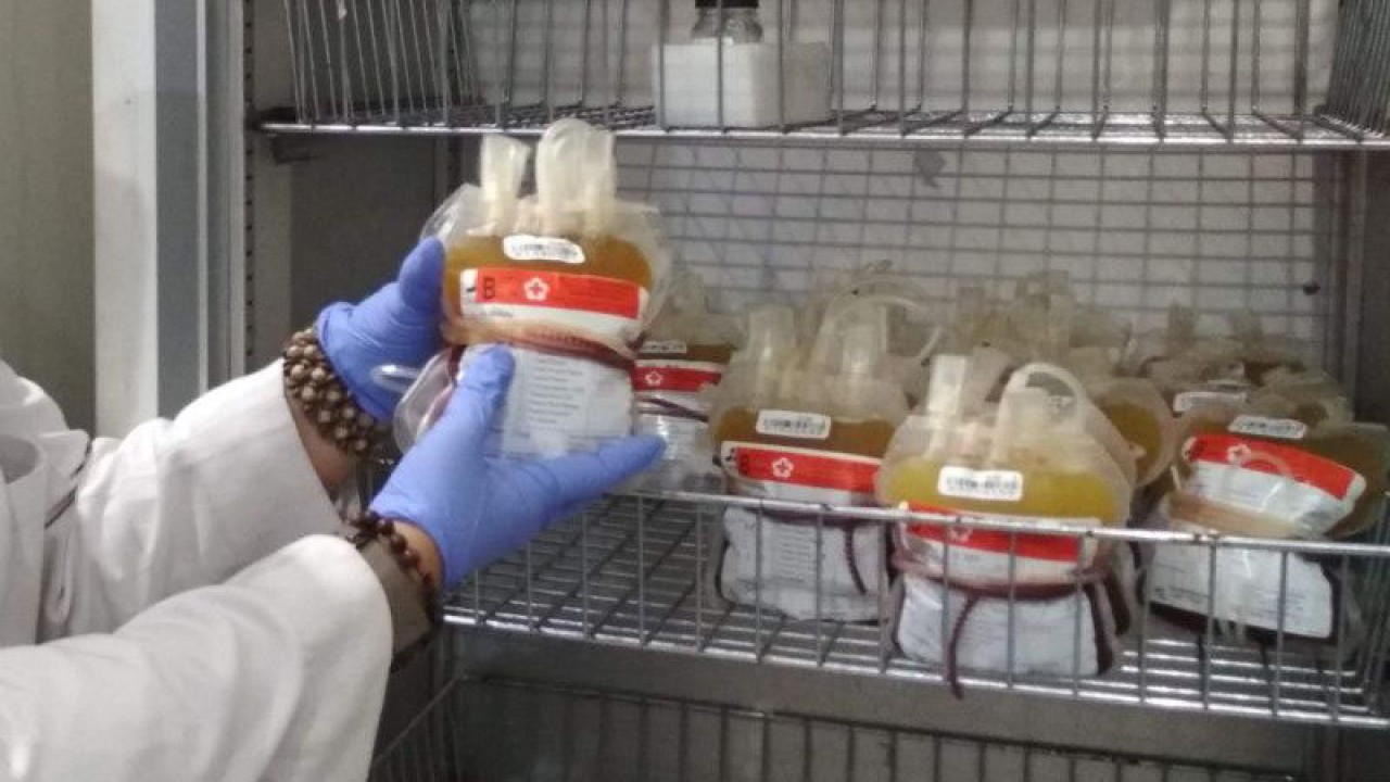 Stok darah yang dimiliki PMI Kabupaten Kudus, Jawa Tengah. (ANTARA/Akhmad Nazaruddin Lathif)