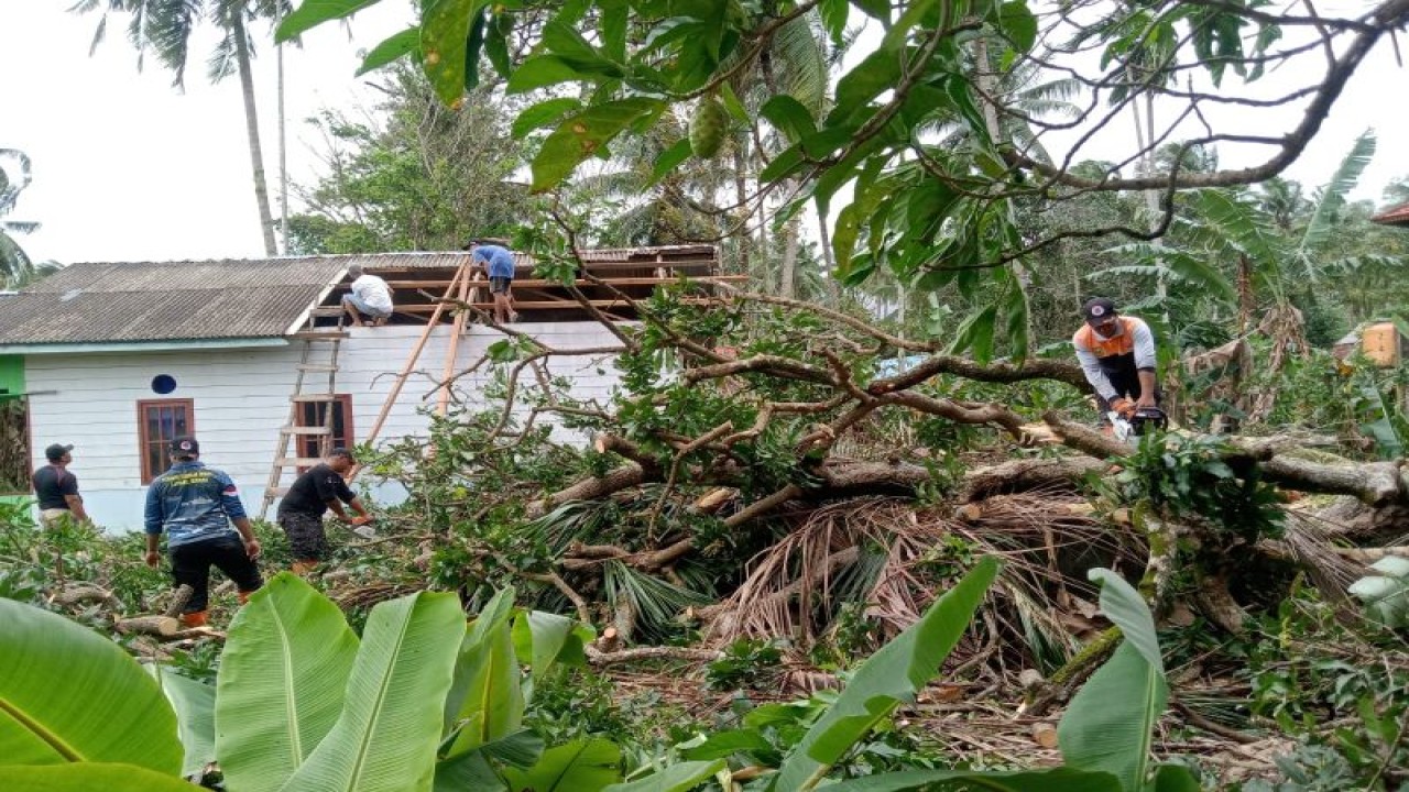 Tampak rumah milik Joko, warga Air Kolek, Ranai, Natuna, Kepri yang rusak tertimpa pohon akibat angin kencang, Sabtu (28/1/2023). ANTARA/HO-BPBD Natuna