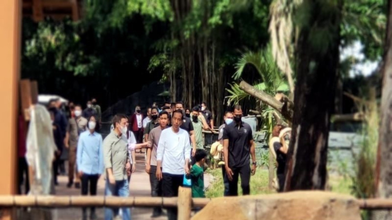 Presiden Jokowi bersama cucu serta didampingi Direktur PT TSI Hans Manansang dan wali Kota Surakarta Gibran Rakabuning Raka, saat melihat-lihat destinasi baru di Solo Safari, Senin (23/1/2023). ANTARA/Bambang Dwi Marwoto.