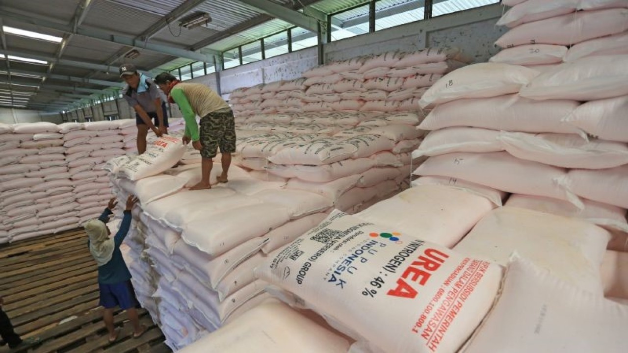 Ilustrasi: Pekerja mengangkut karung pupuk urea di gudang lini 3 Jatibarang pupuk Kujang, Indramayu, Jawa Barat, Senin (19/12/2022). Kementerian Pertanian menyatakan total alokasi pupuk subsidi tahun 2023 sebanyak 9 juta ton yang terdiri dari 5,5 juta ton urea dan3,2 juta ton NPK dan 221 ribu ton NPK formula khusus. ANTARA FOTO/Dedhez Anggara/aww.